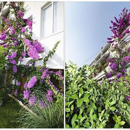 Apartments Ivan Makarska Dış mekan fotoğraf