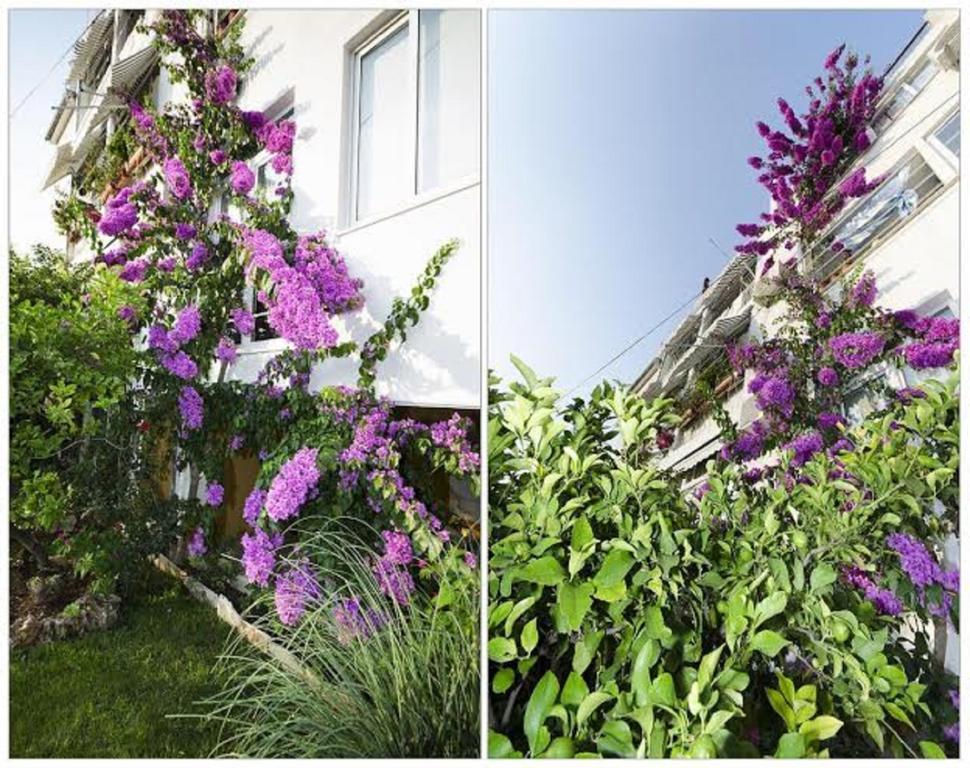 Apartments Ivan Makarska Dış mekan fotoğraf